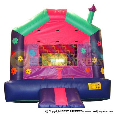 Inflatables Jumpers - Indoor Bounce Houses - Moonbounce - Commercial Inflatables