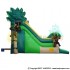 Double Lane Slides - Moonwalks For Sale - Buy IInflatables - Us Manufacturer